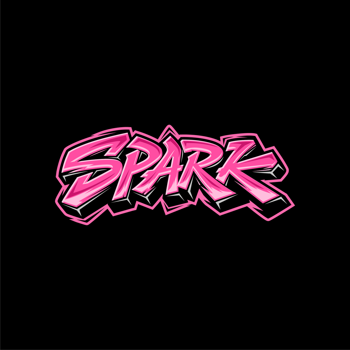 Spark Lighter Case on black background